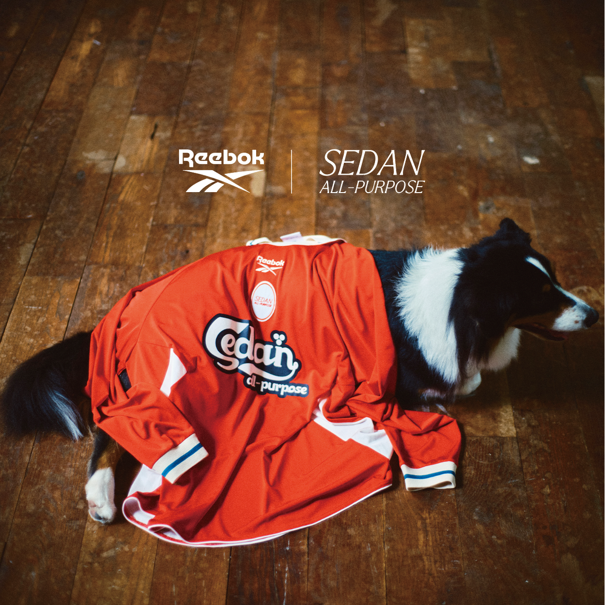 SS26 2ND DELIVERY PREVIEW – SEDAN ALL-PURPOSE ONLINE STORE